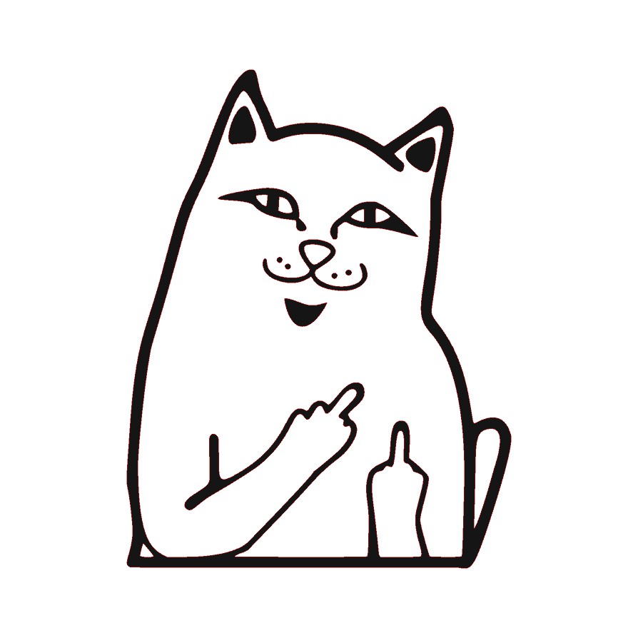 Funny Cat Sticker
